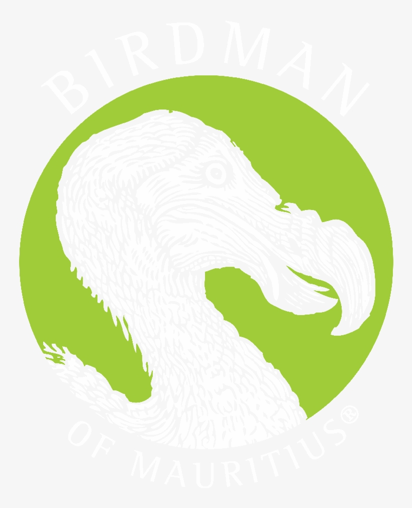Hanyang University, transparent png download