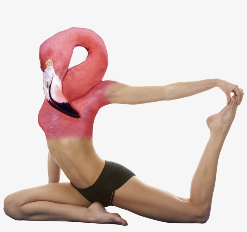 Crazy Animals - Strong And Flexible Body, transparent png download