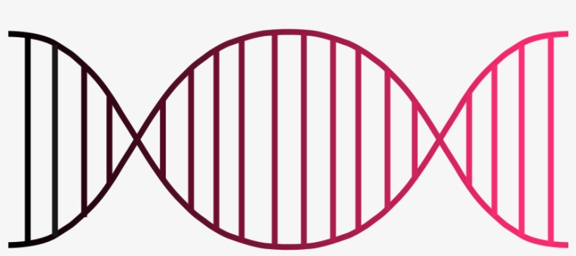 Dna Png - Barbecue Grill, transparent png download