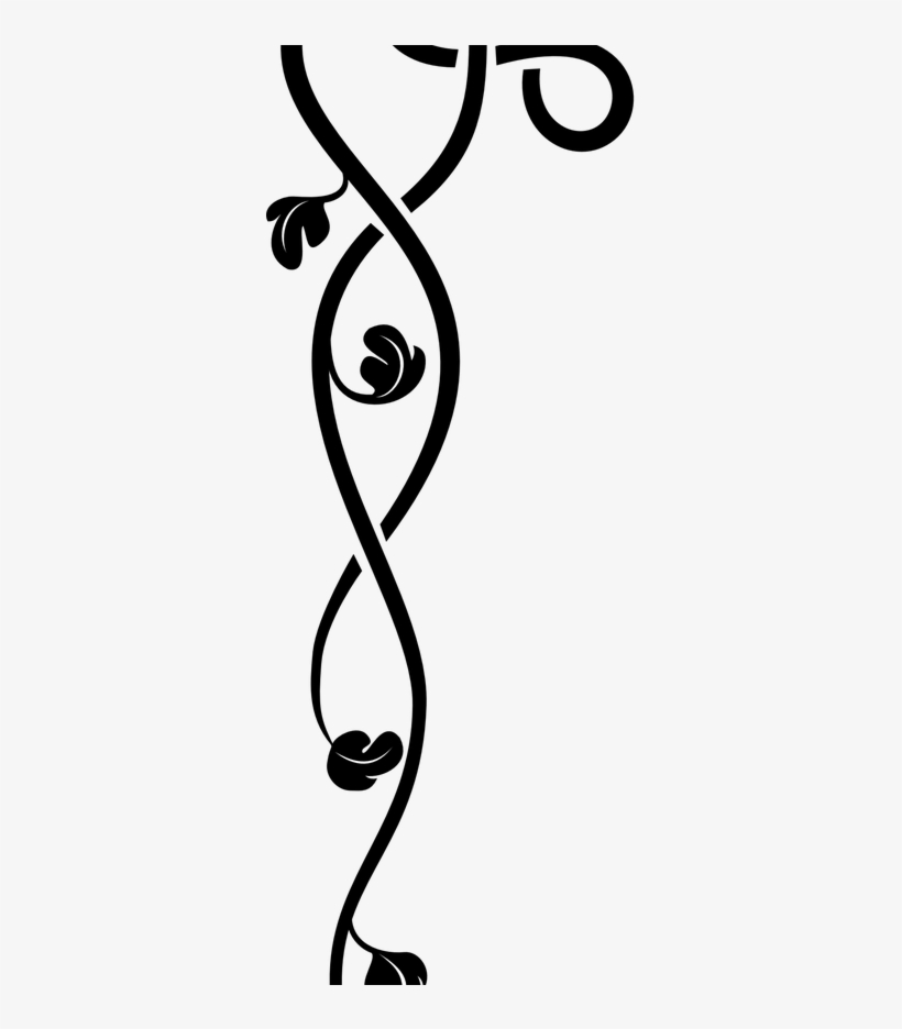 19 Holiday Border Jpg Transparent Library Free Huge - Gray Border Transparent, transparent png download