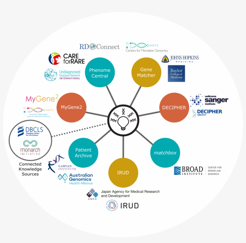 Matchmaker Exchange Connected Nodes - Match Maker Exchange, transparent png download