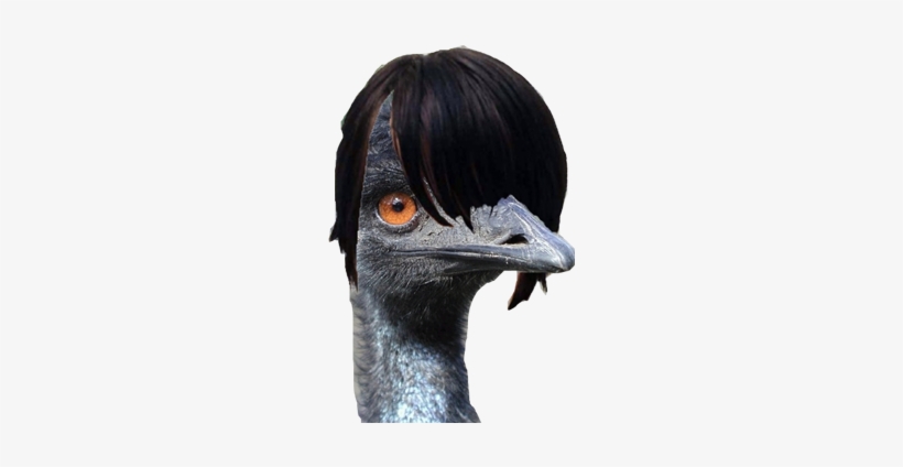The Jumbo Turkey Leg Is A Emu Leg - Emu Emo, transparent png download