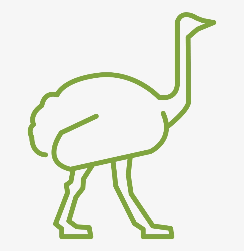 Emu - Vector Graphics, transparent png download