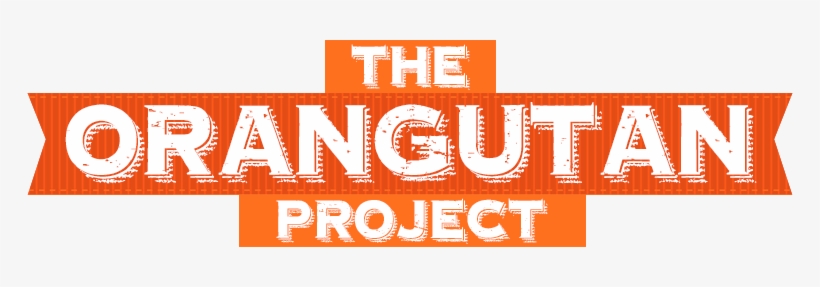 The Orangutan Project - Orang Utan Logo Png, transparent png download