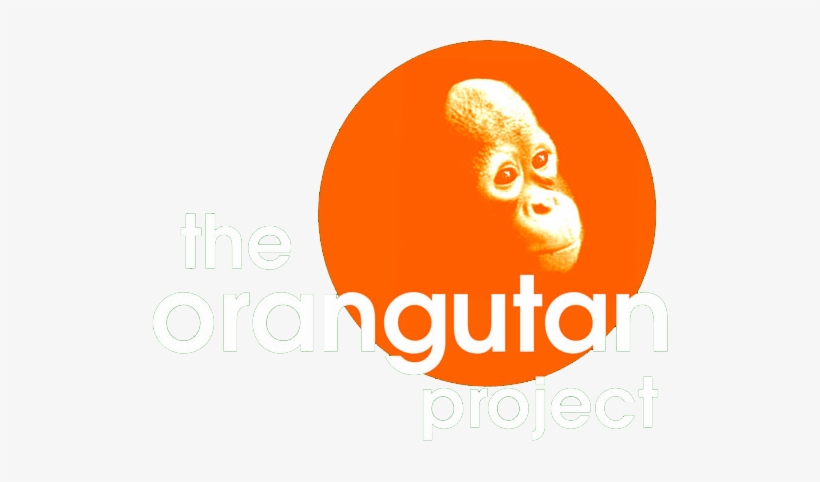 Orangutan-logo - Orangutan Project Logo, transparent png download