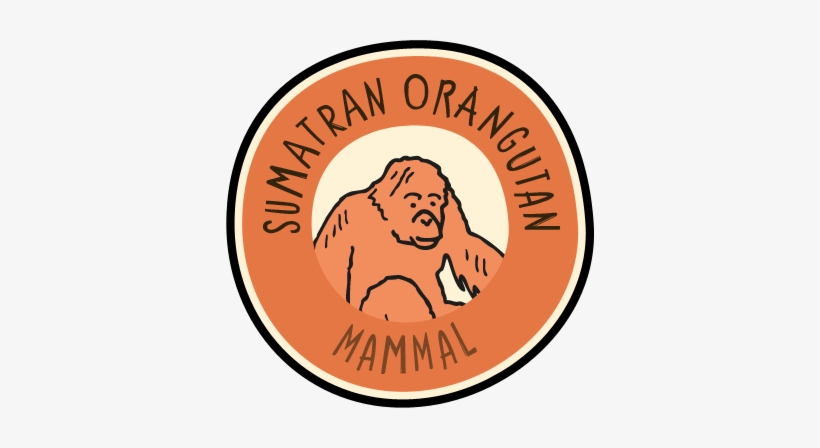 Visit The Zoo And Collect This Animal's Badge In Our - Chester Zoo Badges, transparent png download