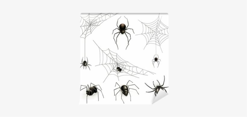 Spiders And Spider Web, Vector Set Wall Mural • Pixers® - Spider-opedia Name That Spider, transparent png download