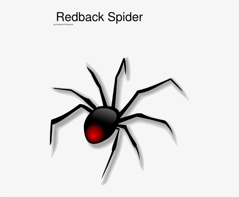Spider Clip Art - Clipart Spider, transparent png download
