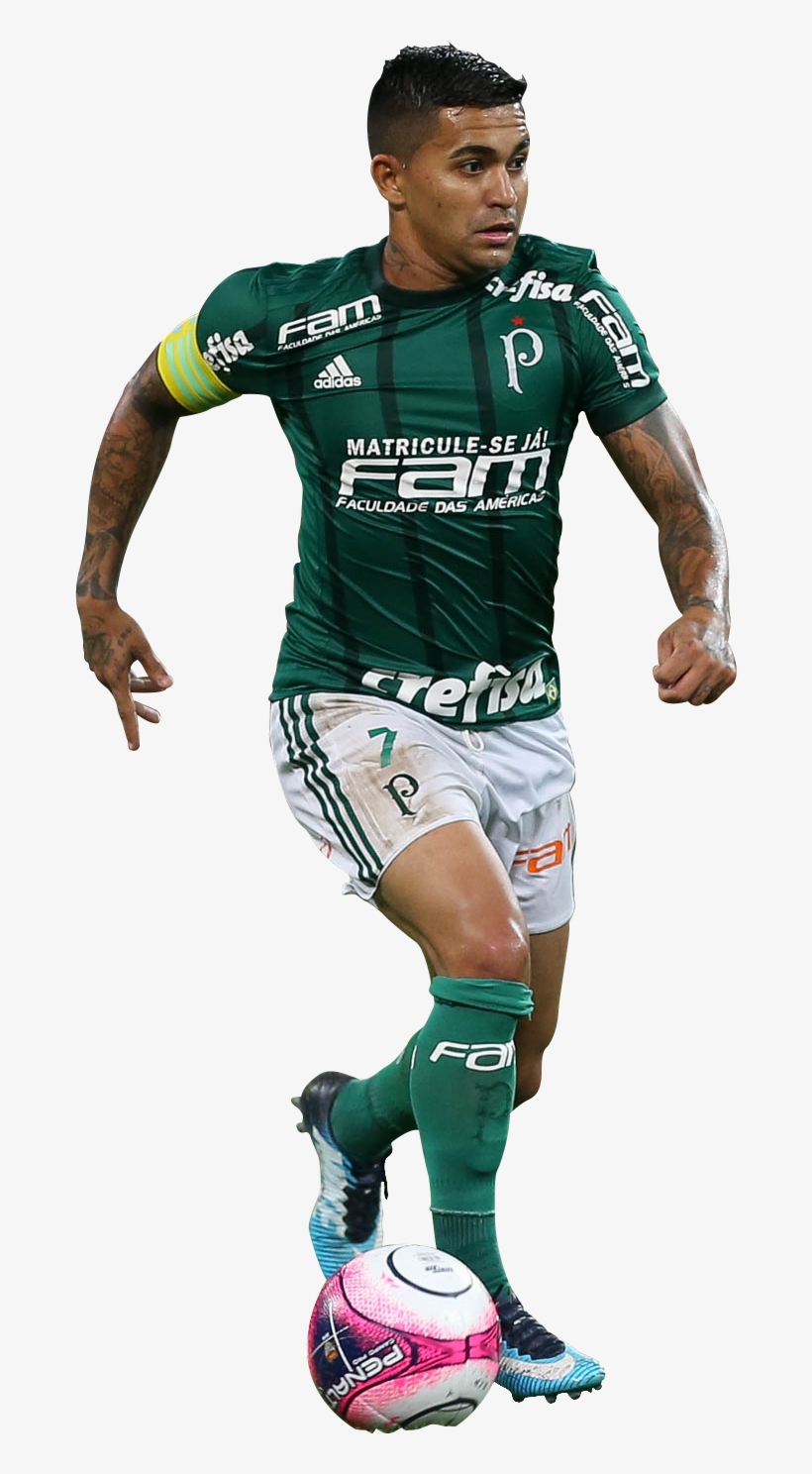 Dudu Pallacanestro, Adesivo - Jogadores Palmeiras 2018 Png, transparent png download