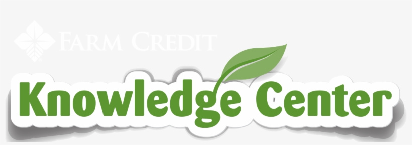 Knowledge Center Icon - Information, transparent png download