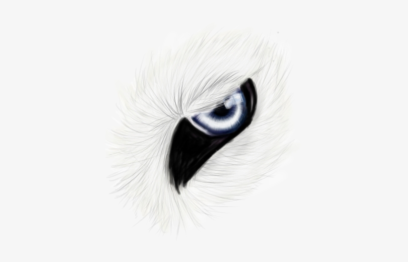 White Wolf Eye Icon Premade By Citrislime-d6g6xj6 - Eyelash Extensions, transparent png download