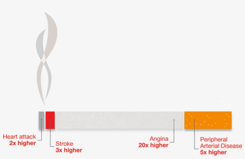 Cigarette Infographic Showing Risks Of Smoking - Carmine, transparent png download