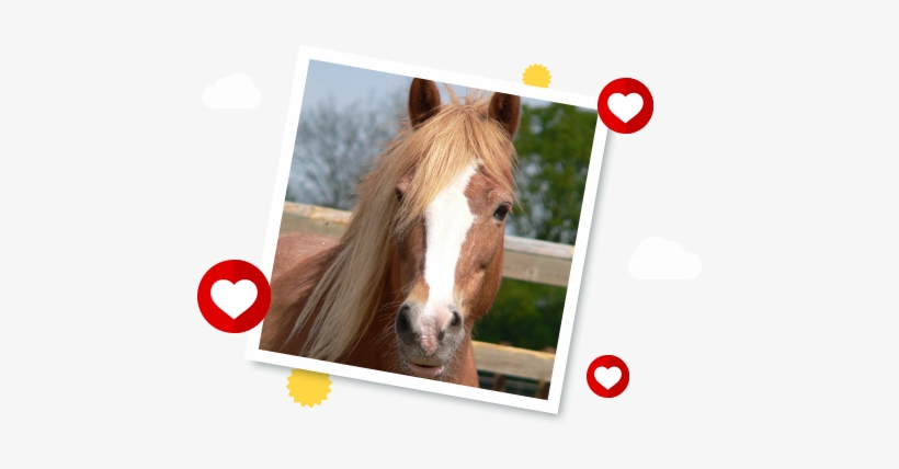 Dolly's Story - Dolly Redwings, transparent png download