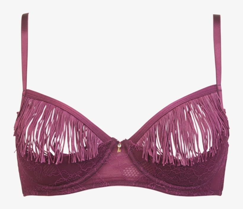 Mary Lightly Padded Wire Mesh And Lace Bra - Valège Lingerie, transparent png download