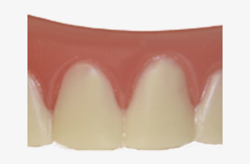 Teeth Png Transparent Images - Portable Network Graphics, transparent png download