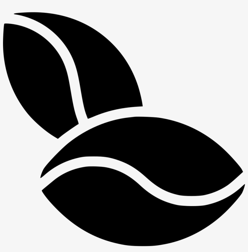 Cocoa Beans Comments - Cocoa Beans Vector Png, transparent png download