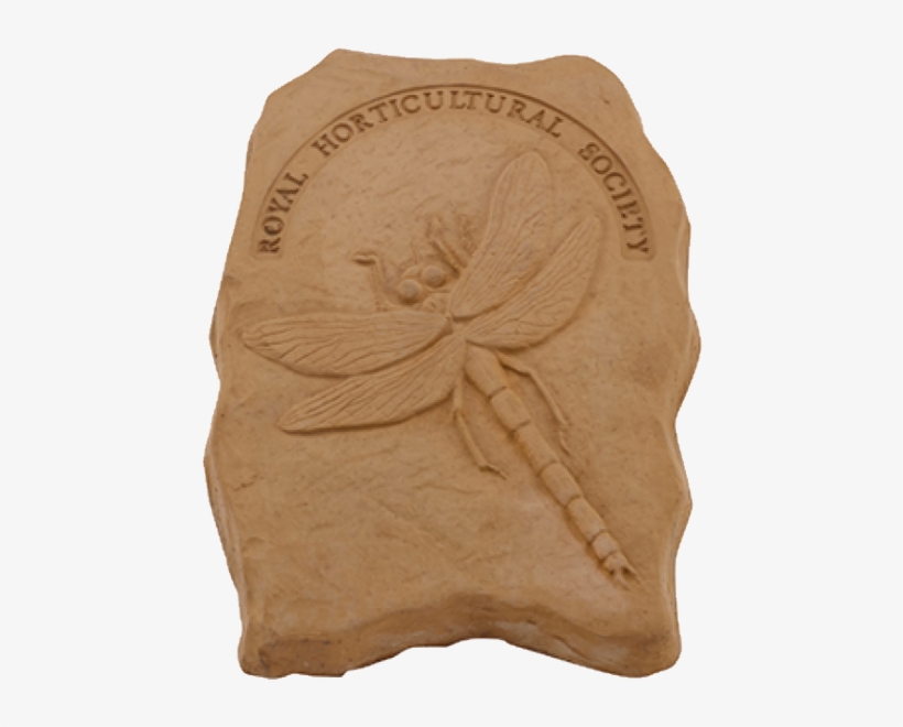 Endangered Species, transparent png download