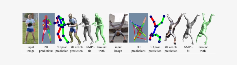 Our Predicted 2d Pose, Segmentation, 3d Pose, 3d Volumetric - Point Cloud, transparent png download