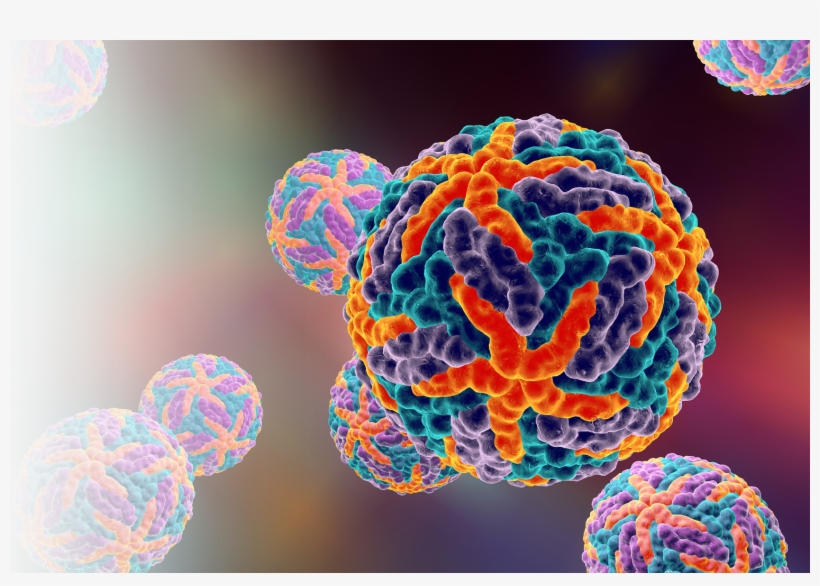 39 Pm 11411 Fever 12/10/2015 - Dengue Virus Structure 3d, transparent png download