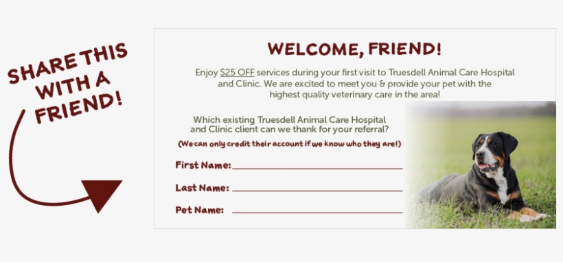 Have Any Questions About Our Refer A Friend Program - Questions For A True Friend, transparent png download