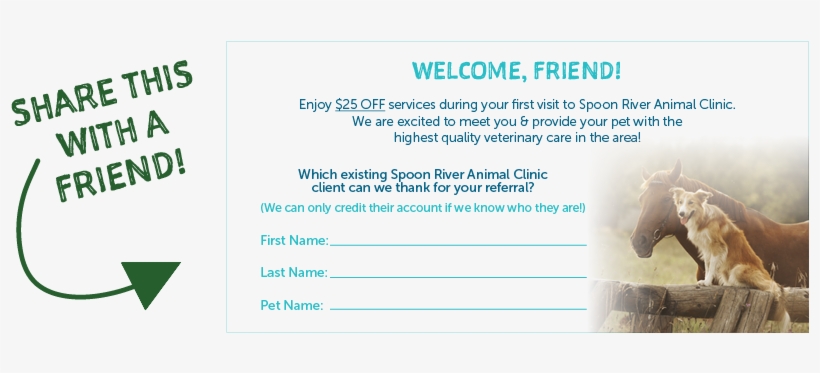 Be Sure To Share This Coupon With Your Friend Before - Smart Girl's Guide To Surviving Her Twenties, transparent png download