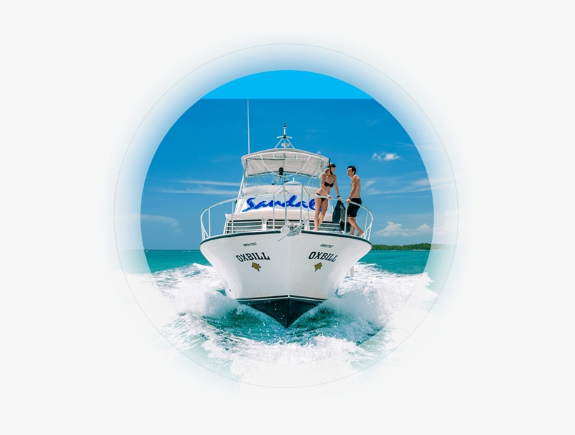 Newton Dive Boats - Boat, transparent png download