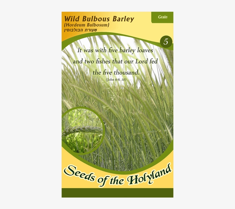 Packet Of Seeds To Grow One Of The Seven Species Of - Wall Barley, transparent png download
