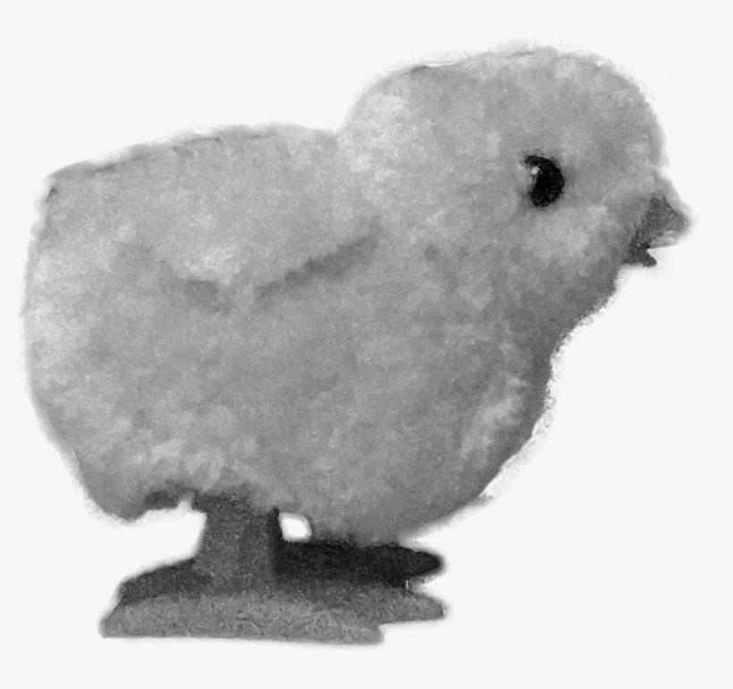 Baby Chicken - Chicken, transparent png download