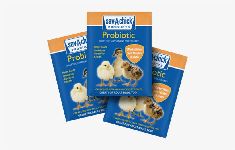 Sav A Chick Electrolyte, transparent png download