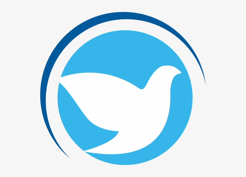 Ko - Logo Pib Satelite, transparent png download