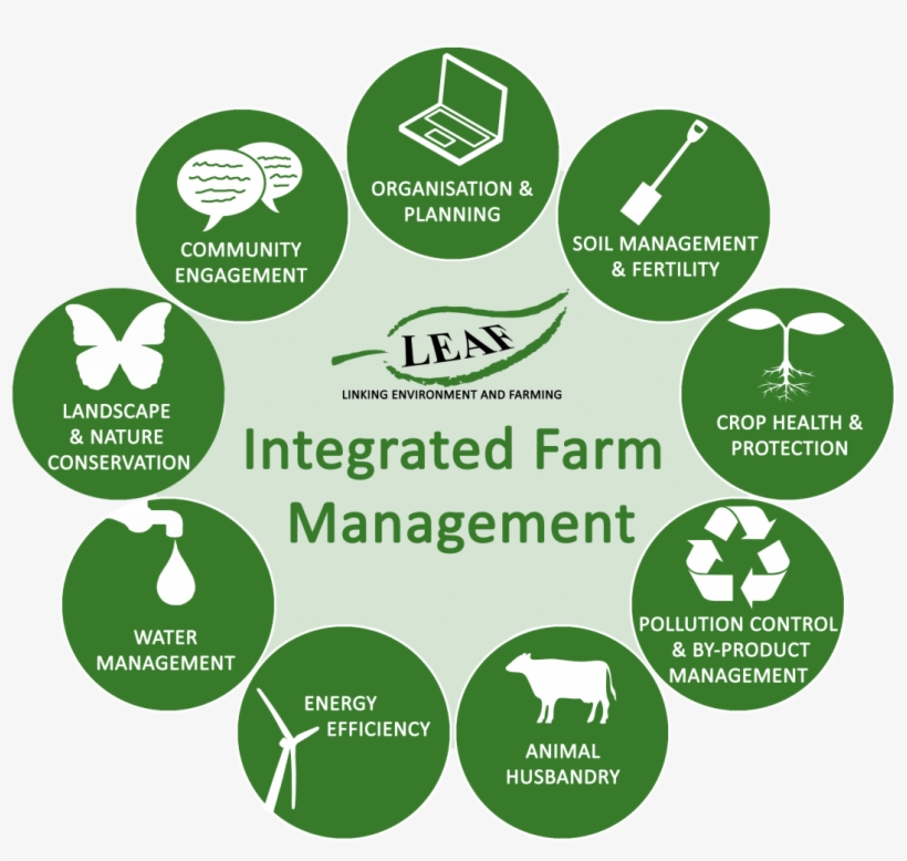 To Read More About Leaf's Ifm, Also See What Is Leaf's - Leaf Marque, transparent png download