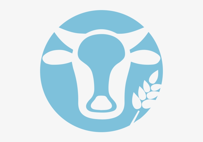 Steam, transparent png download