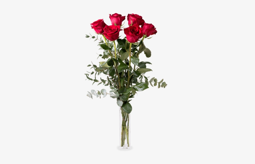 Love Me Do - Hybrid Tea Rose, transparent png download