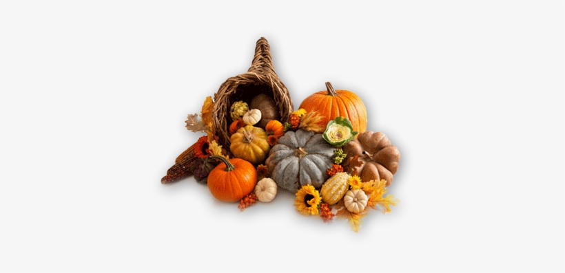 I Hope You're Enjoying This Most Wonderful Time Of - Thanksgiving, transparent png download