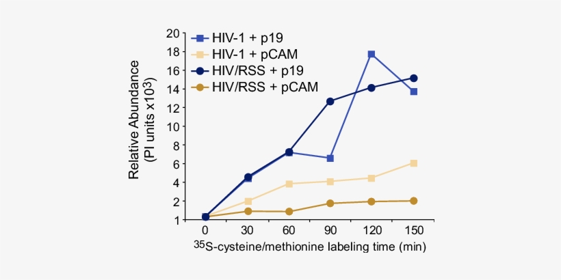 Tat Is The Viral Rss And The Plant Viral Rss P19 Can - Virus, transparent png download