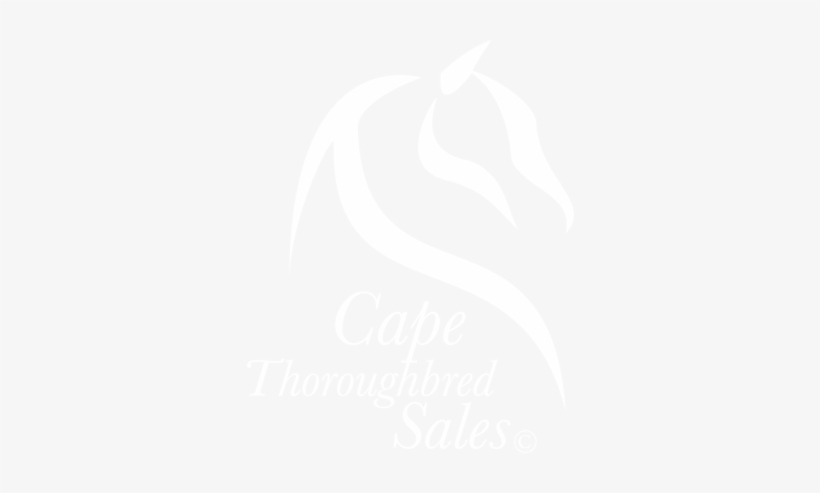 Cts Logo - Jazzinvaders Higher On Fire (pt. 1, transparent png download