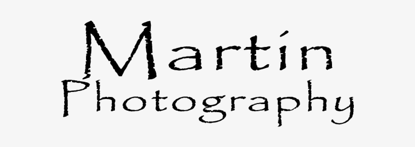 Logo - Yoga And The Sacred Fire: Self-realization, transparent png download