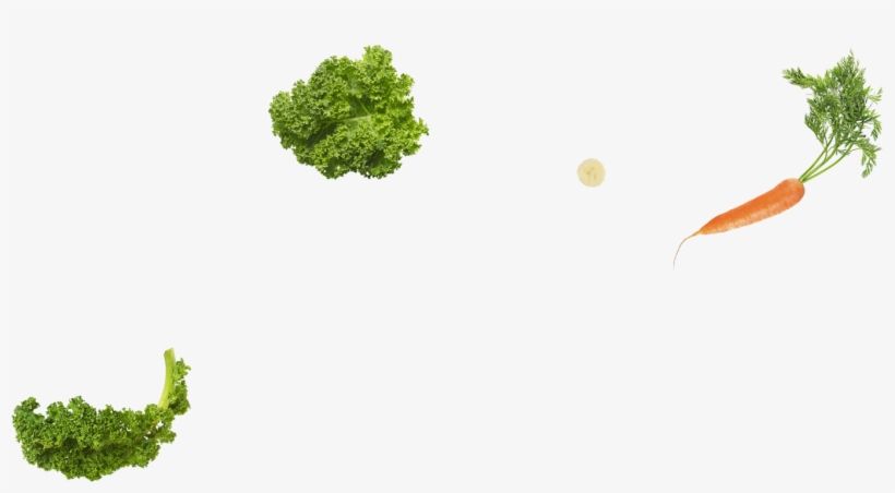 Juice Facts Scrollz4 - Broccoli, transparent png download