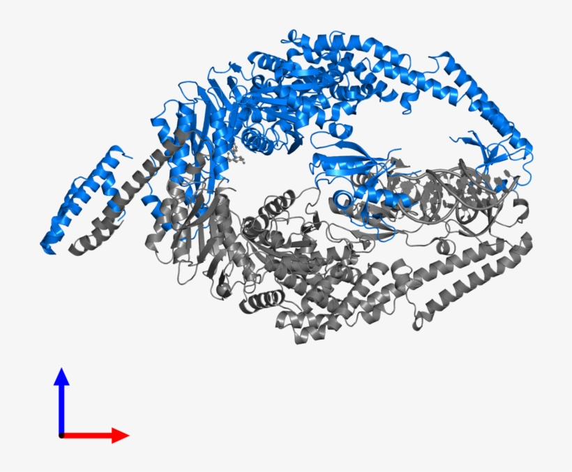 <div Class='caption-body'>pdb Entry 3thx Contains 1 - Graphic Design, transparent png download