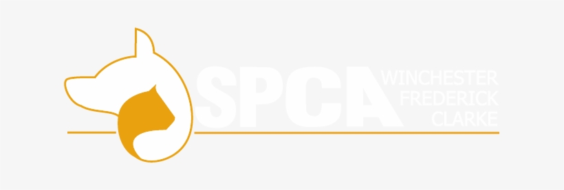 About Us - Winchester Spca, transparent png download