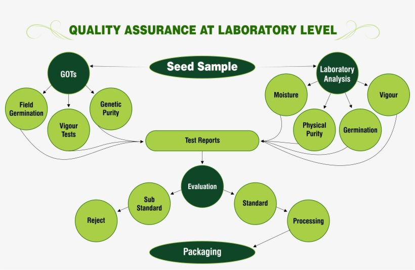 Quality Assurance At Laboratory Level Png - Quality Assurance, transparent png download