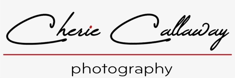 Photography, transparent png download
