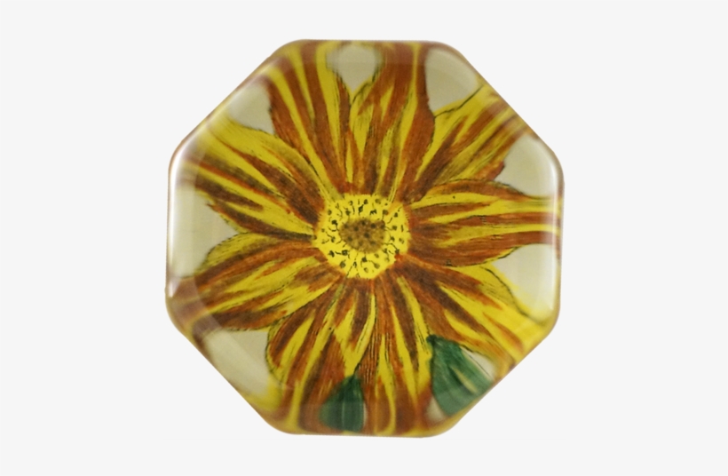 Orange Aster Orange Aster - Crystal, transparent png download