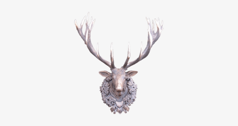 Black Forest Style Carvings & Mounts Elen Importing - Elk, transparent png download