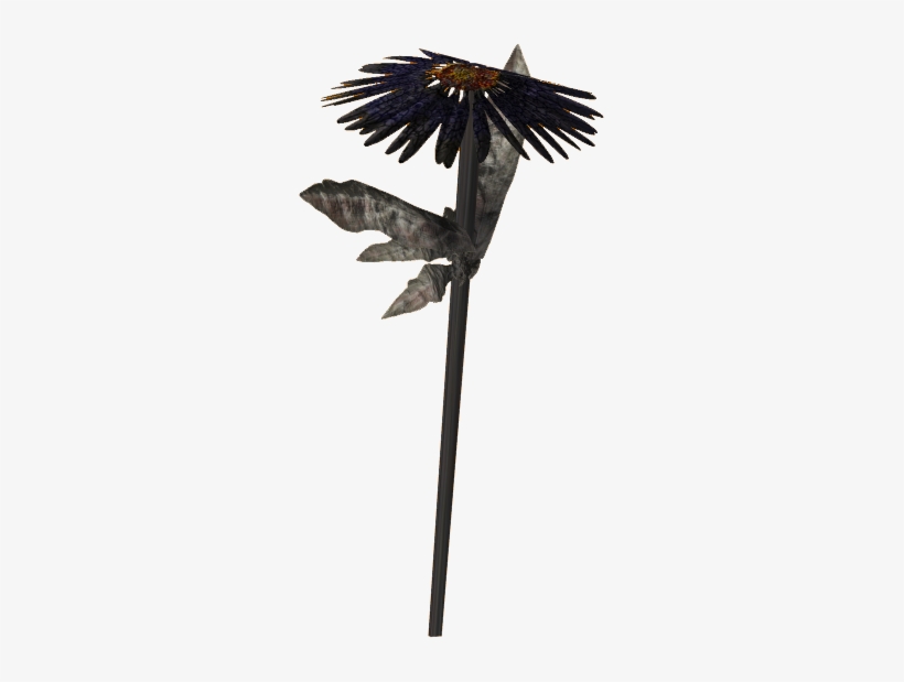 Aster - Portable Network Graphics, transparent png download