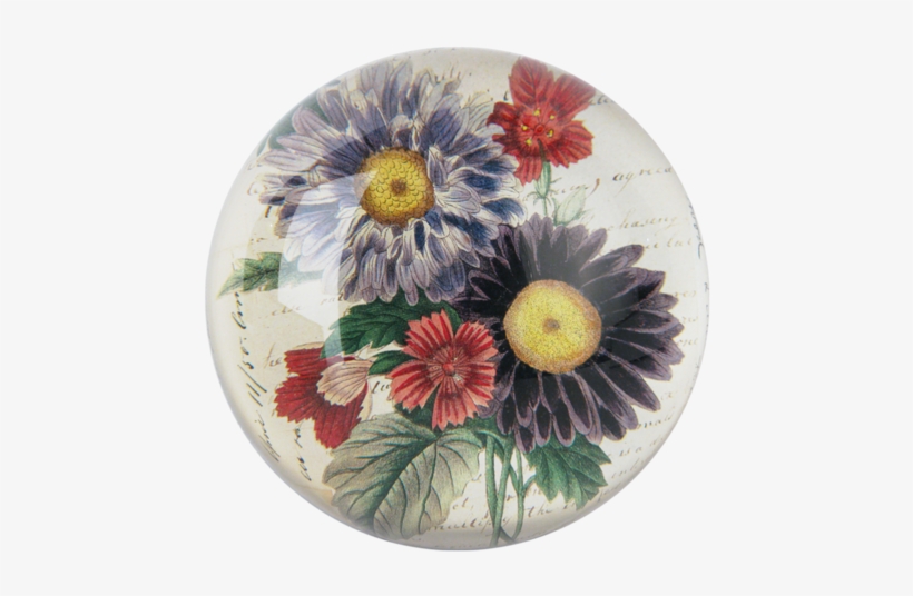 Aster Bouquet Aster Bouquet - Aster, transparent png download