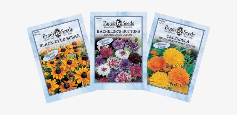 Contact - Calendula Pacific Beauty Yates Seeds Sealed Seed Pack, transparent png download