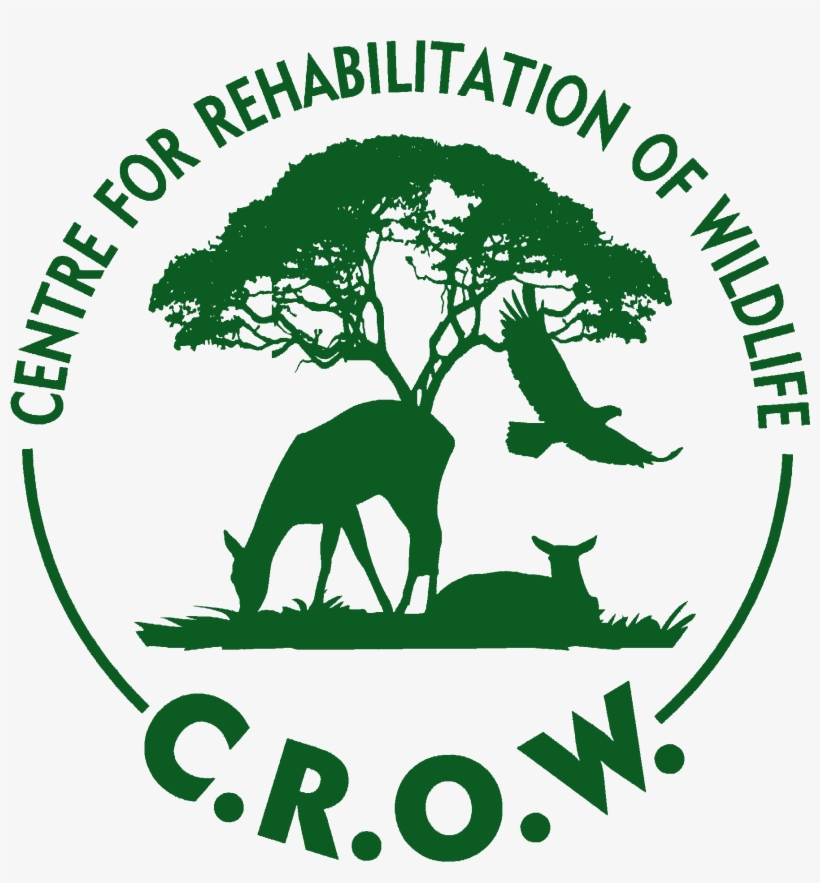 Crow Crow Crow - Centre For Rehabilitation Of Wildlife, transparent png download