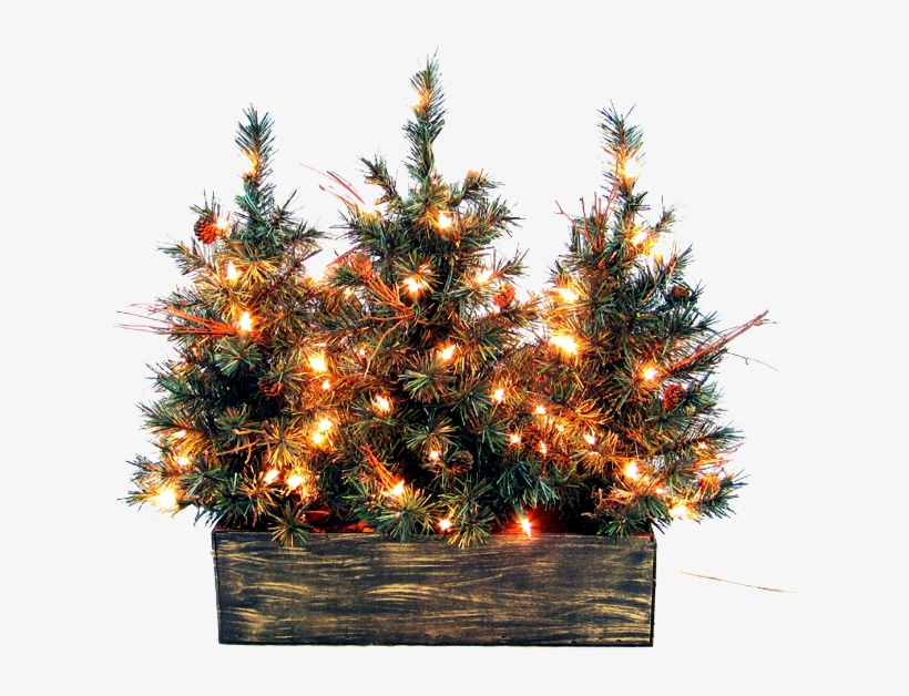 Christmas Outside Png Picture - Christmas Tree, transparent png download