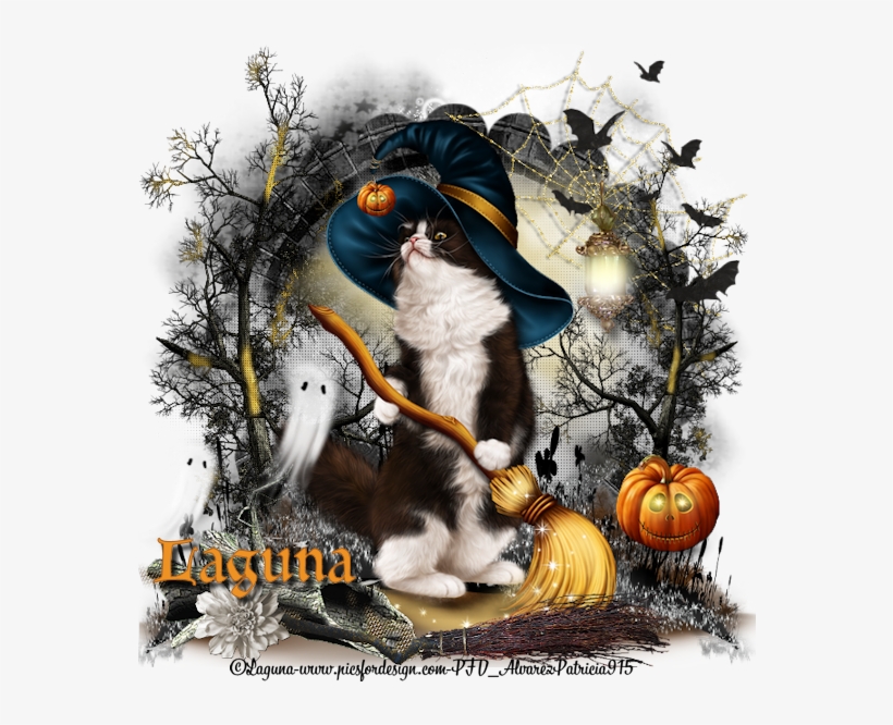 You Can Purchase Here - Pumpkin, transparent png download